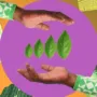 Sostenibilidad: el activo detrás de las marcas para mantener su posicionamiento en el tiempo